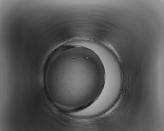 X0000089691114200706281411