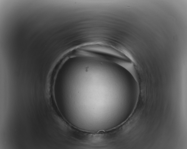 X0000089691116200706281411