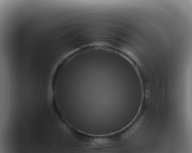 X0000089691117200706281411