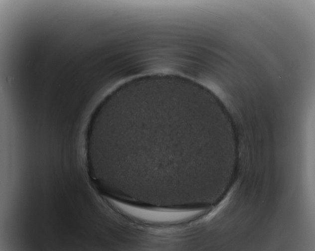 X0000089691118200706281411