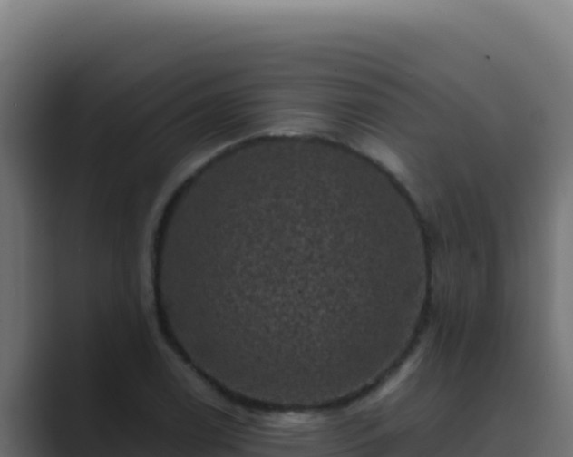 X0000089691122200706281411