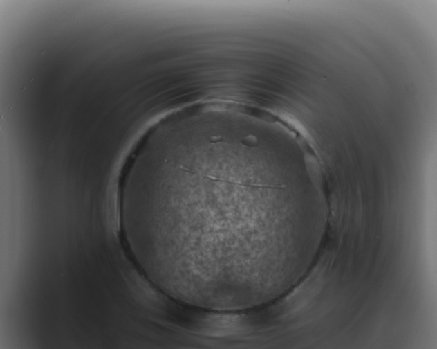 X0000089691123200706281411