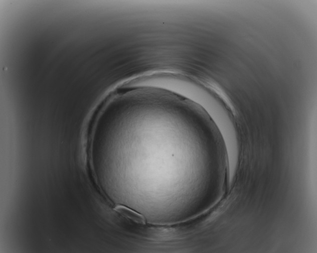 X0000089691124200706281411