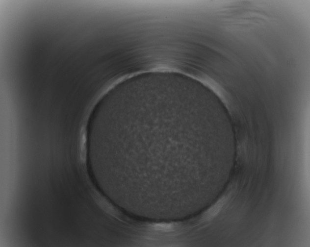 X0000089691126200706281411