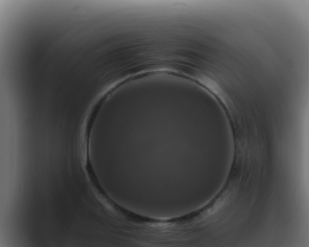 X0000089691127200706281411