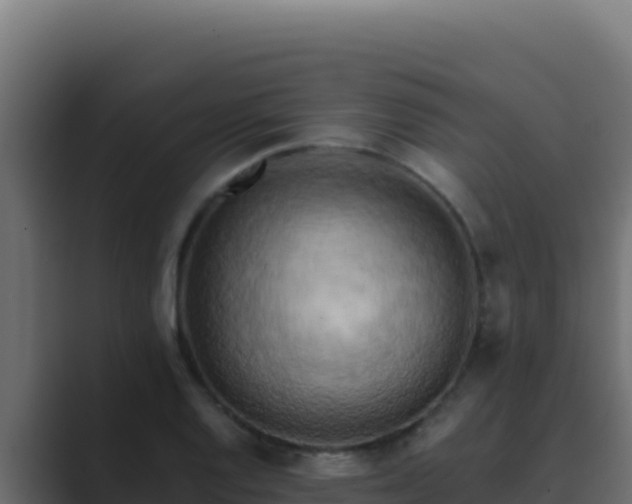 X0000089691128200706281411