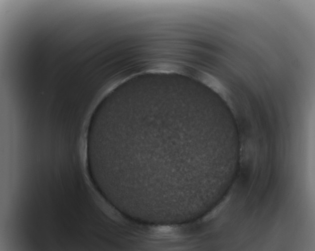 X0000089691130200706281411