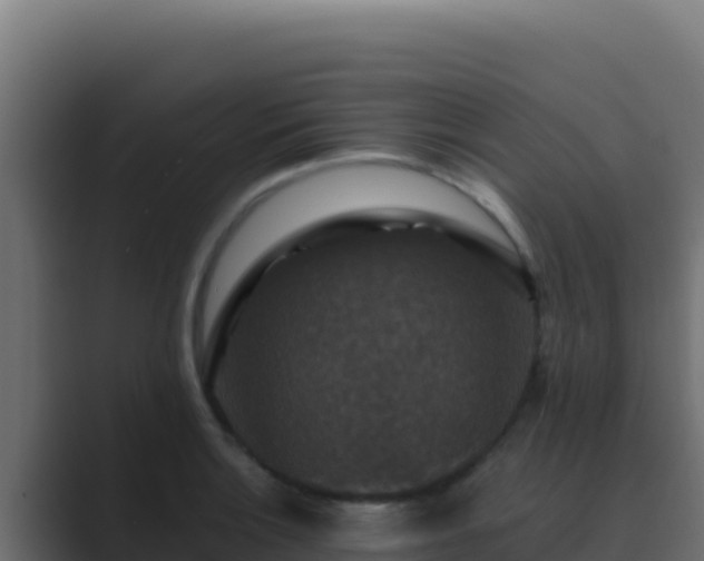 X0000089691132200706281411