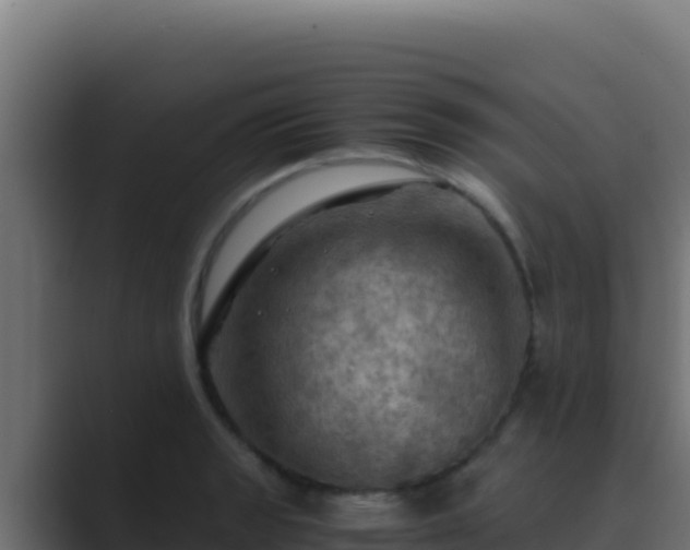 X0000089691133200706281411