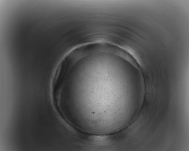 X0000089691134200706281411