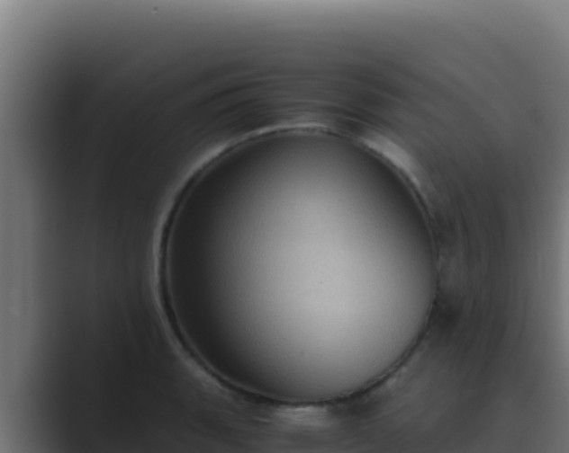 X0000089691135200706281411