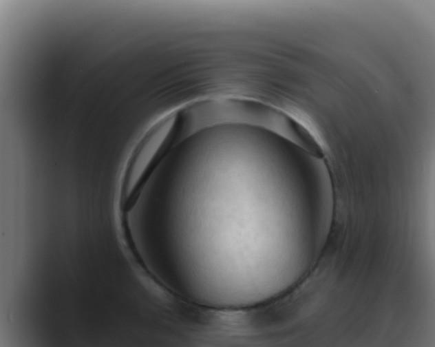 X0000089691136200706281411