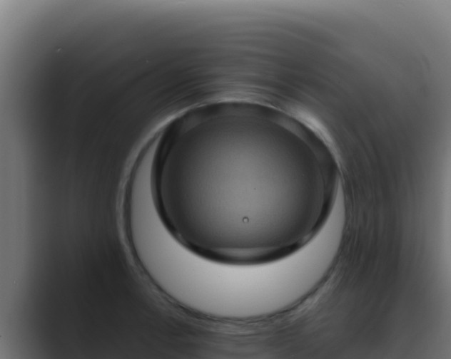 X0000089691138200706281411