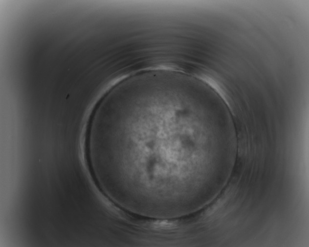 X0000089691139200706281411