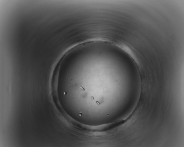 X0000089691140200706281411