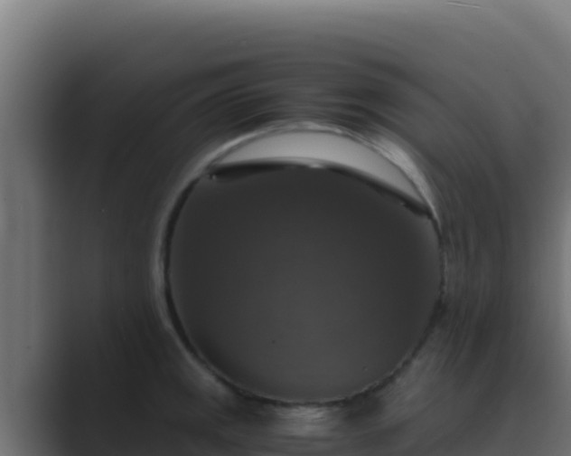 X0000089691141200706281411