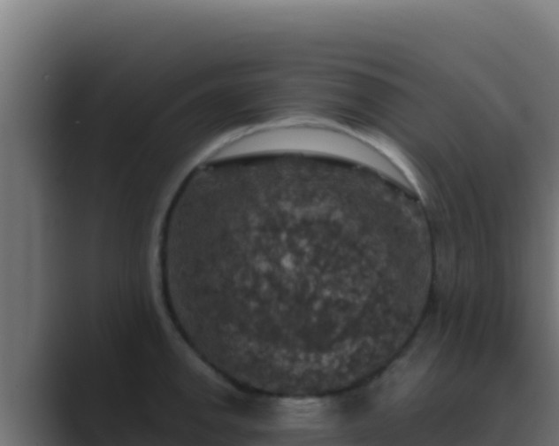 X0000089691142200706281411