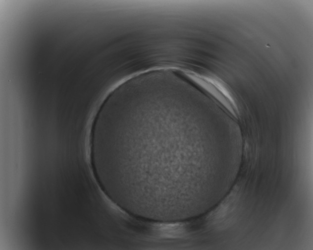 X0000089691143200706281411