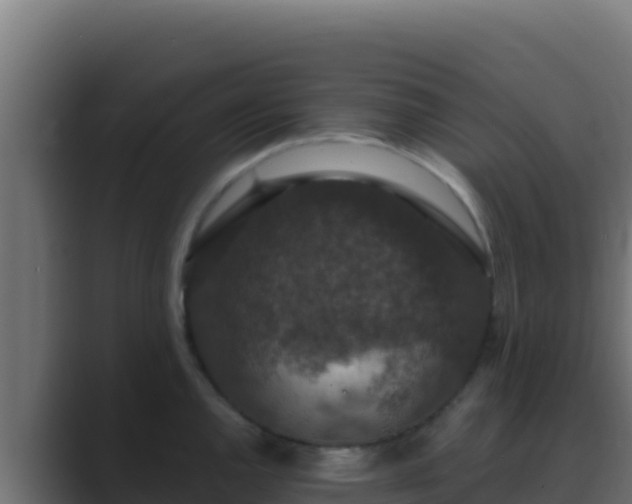 X0000089691144200706281411