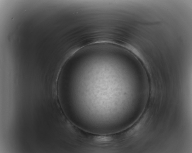 X0000089691145200706281411