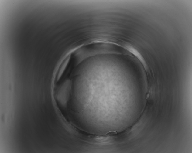 X0000089691146200706281411