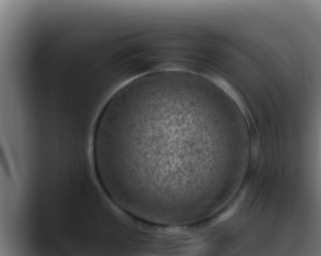 X0000089691149200706281411