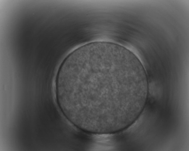 X0000089691150200706281411