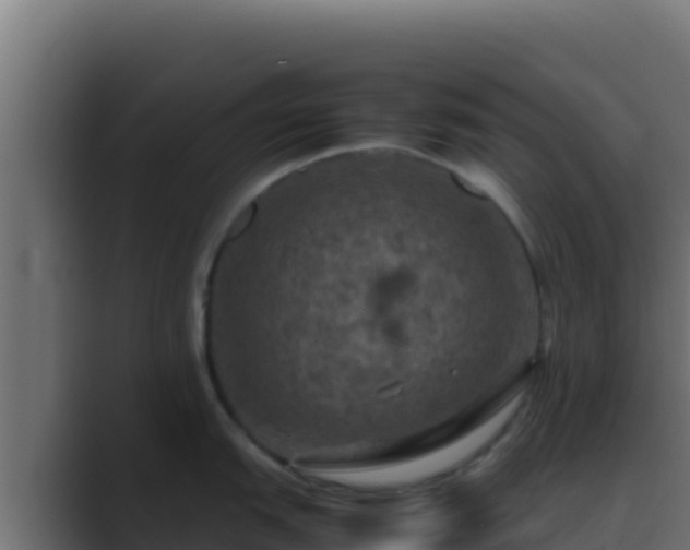 X0000089691151200706281411