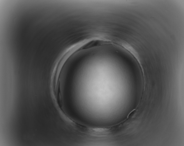 X0000089691152200706281411