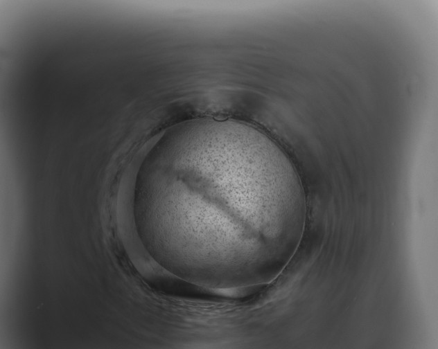 X0000089691153200706281410