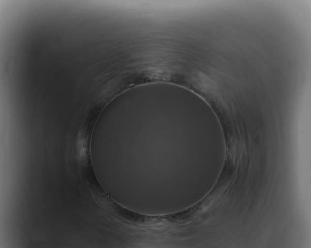 X0000089691154200706281410