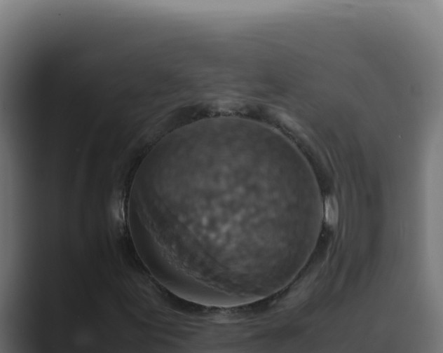 X0000089691155200706281410