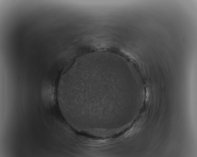 X0000089691156200706281410