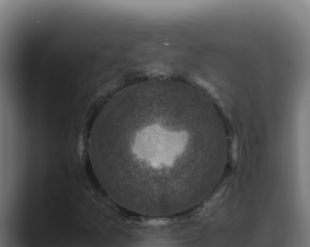 X0000089691157200706281410