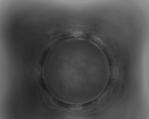 X0000089691158200706281410