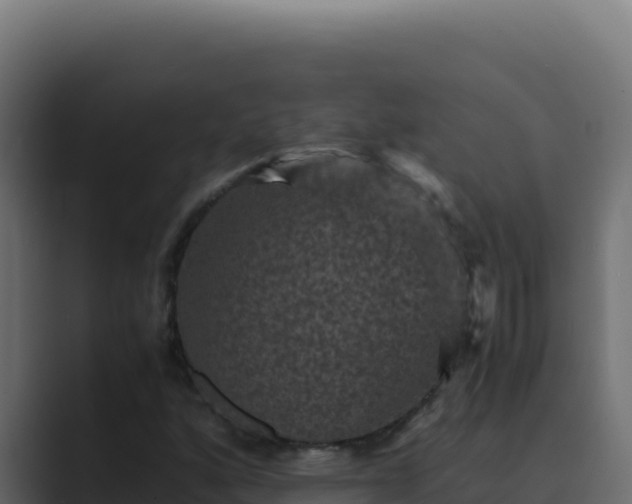 X0000089691160200706281410