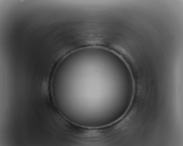 X0000089691162200706281410