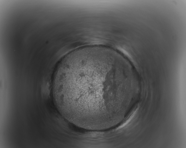 X0000089691163200706281410
