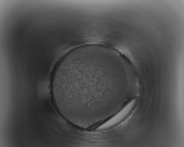 X0000089691164200706281410