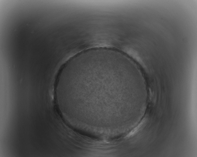 X0000089691165200706281410