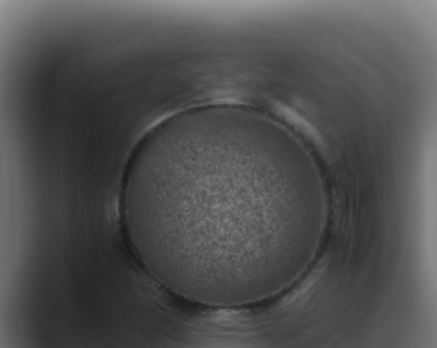 X0000089691166200706281410