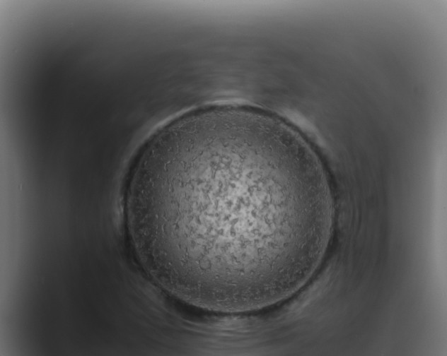 X0000089691167200706281410