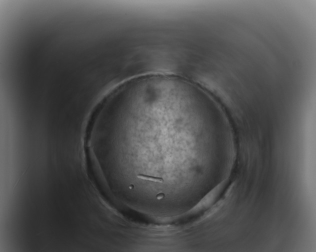 X0000089691168200706281410