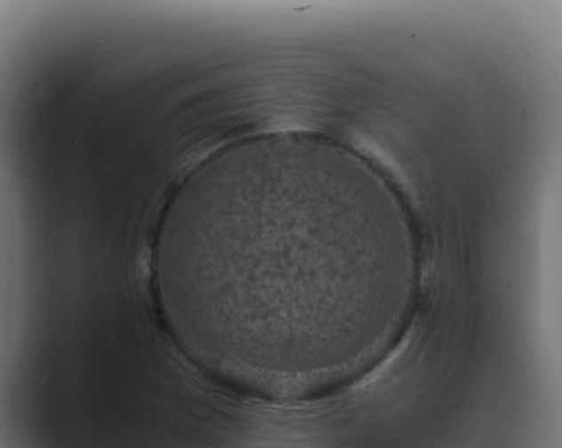 X0000089691169200706281410