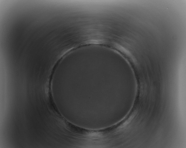 X0000089691170200706281410