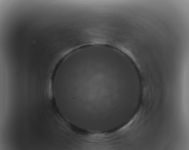 X0000089691171200706281410