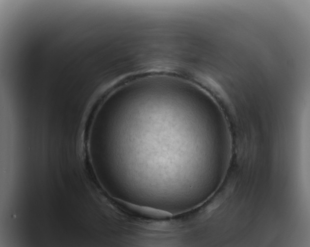 X0000089691172200706281410