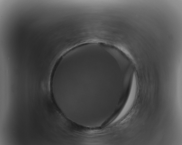 X0000089691173200706281410