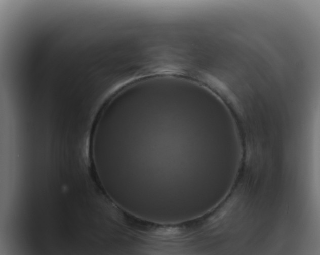 X0000089691174200706281410