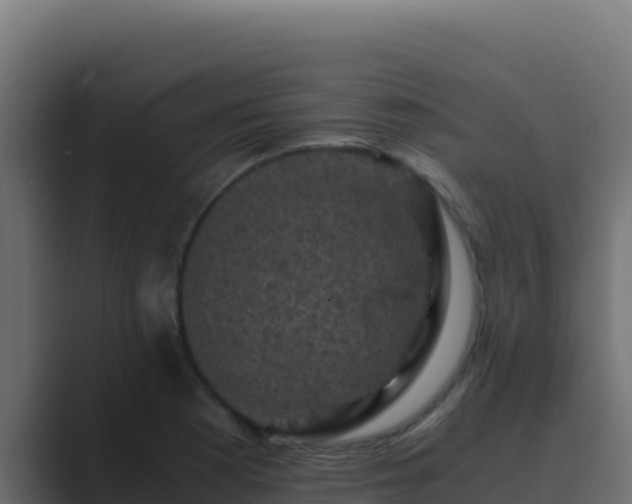 X0000089691177200706281410